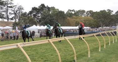 Oakbank Easter Carnival - Captured at Adelaide SA.