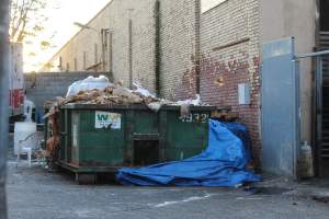 American Halal Meats - Skin can be seen inside the dumpster.
Photos taken during a vigil at American Halal Meats, a slaughterhouse in Newark NJ - Captured at American Halal Meats, Newark NJ United States.