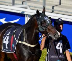 Captured at Royal Randwick Racecourse, Randwick NSW Australia.