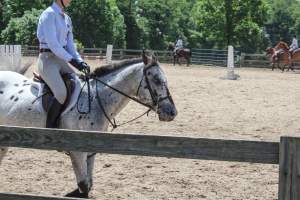 Horse Show - Photos of so called