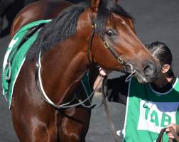 Captured at Royal Randwick Racecourse, Alison Road, Randwick NSW.