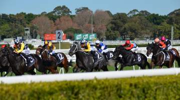 Captured at Royal Randwick Racecourse, Alison Road, Randwick NSW.