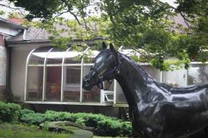 Essex Equestrian Center - Statue outside - Captured at Essex Equestrian Center/Rocking Horse Rehab, West Orange NJ United States.