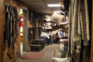 Essex Equestrian Center - Weapons - Captured at Essex Equestrian Center/Rocking Horse Rehab, West Orange NJ United States.