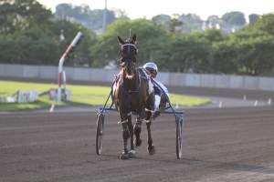 Meadowlands Racing - Photos taken at the Meadowlands Racetrack, located in New Jersey. These horses being used are only around the ages of 1-3 years old. Their bone structures aren't even finished maturing, yet the industry forces them into racing. They painfully whipped these animals to make them trot faster, yet they aren't allowed to canter or gallop, which can be very confusing for the horse. - Captured at Meadowlands Racing, East Rutherford NJ United States.