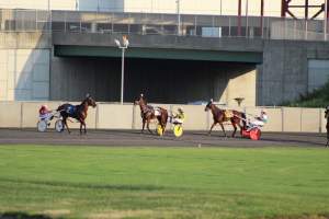 Meadowlands Racing - Photos taken at the Meadowlands Racetrack, located in New Jersey. These horses being used are only around the ages of 1-3 years old. Their bone structures aren't even finished maturing, yet the industry forces them into racing. They painfully whipped these animals to make them trot faster, yet they aren't allowed to canter or gallop, which can be very confusing for the horse. - Captured at Meadowlands Racing, East Rutherford NJ United States.