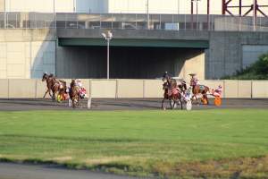 Meadowlands Racing - Photos taken at the Meadowlands Racetrack, located in New Jersey. These horses being used are only around the ages of 1-3 years old. Their bone structures aren't even finished maturing, yet the industry forces them into racing. They painfully whipped these animals to make them trot faster, yet they aren't allowed to canter or gallop, which can be very confusing for the horse. - Captured at Meadowlands Racing, East Rutherford NJ United States.
