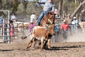 Captured at Great Western Rodeo, Great Western VIC Australia.