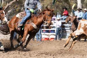 Captured at Great Western Rodeo, Great Western VIC Australia.