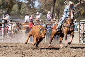 Captured at Great Western Rodeo, Great Western VIC Australia.