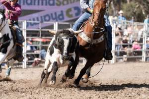 Captured at Great Western Rodeo, Great Western VIC Australia.