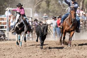 Captured at Great Western Rodeo, Great Western VIC Australia.