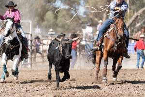 Captured at Great Western Rodeo, Great Western VIC Australia.