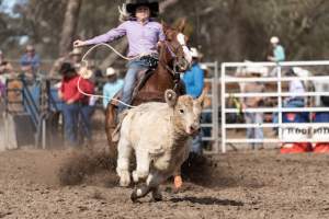 Captured at Great Western Rodeo, Great Western VIC Australia.