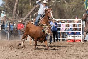 Captured at Great Western Rodeo, Great Western VIC Australia.