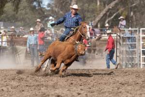 Captured at Great Western Rodeo, Great Western VIC Australia.