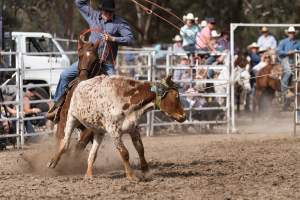 Captured at Great Western Rodeo, Great Western VIC Australia.