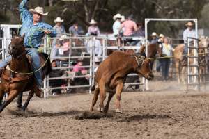 Captured at Great Western Rodeo, Great Western VIC Australia.