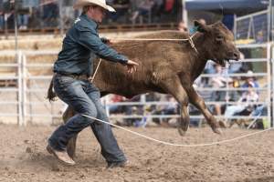 Captured at Great Western Rodeo, Great Western VIC Australia.