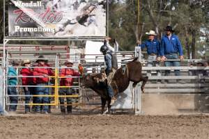 Captured at Great Western Rodeo, Great Western VIC Australia.