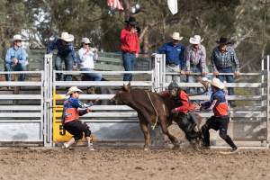 Captured at Great Western Rodeo, Great Western VIC Australia.