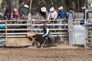 Captured at Great Western Rodeo, Great Western VIC Australia.