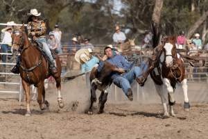 Captured at Great Western Rodeo, Great Western VIC Australia.