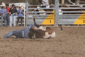 Captured at Great Western Rodeo, Great Western VIC Australia.