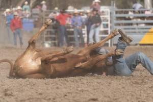 Captured at Great Western Rodeo, Great Western VIC Australia.