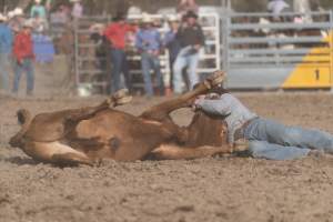 Captured at Great Western Rodeo, Great Western VIC Australia.