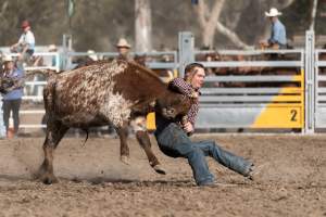 Captured at Great Western Rodeo, Great Western VIC Australia.