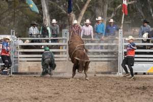 Captured at Great Western Rodeo, Great Western VIC Australia.