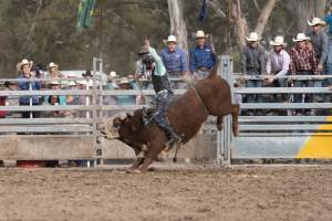 Captured at Great Western Rodeo, Great Western VIC Australia.