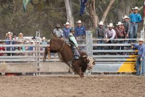 Captured at Great Western Rodeo, Great Western VIC Australia.