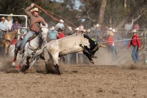 Captured at Great Western Rodeo, Great Western VIC Australia.