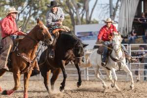 Captured at Great Western Rodeo, Great Western VIC Australia.