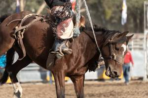 Captured at Great Western Rodeo, Great Western VIC Australia.