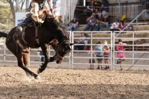 Captured at Great Western Rodeo, Great Western VIC Australia.