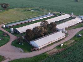 Drone flyover - Captured at Gowanbrae Piggery, Pine Lodge VIC Australia.