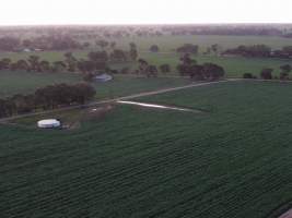 Drone flyover - Captured at Gowanbrae Piggery, Pine Lodge VIC Australia.