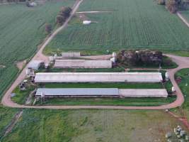 Drone flyover - Captured at Gowanbrae Piggery, Pine Lodge VIC Australia.