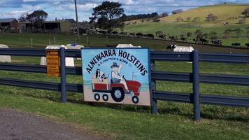 Chitticks farm, Rose Valley - Dairy and veal - Captured at Unknown Dairy, Rose Valley NSW Australia.