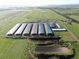 Drone flyover - Captured at Cibus Goats, Trafalgar East VIC Australia.