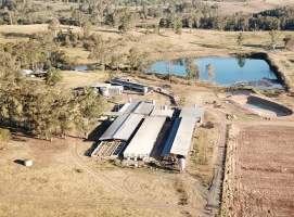 Drone still - Captured at Signium Piggery, Ellangowan NSW Australia.