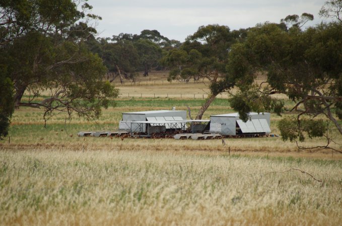 Earth Eggs - What they go through