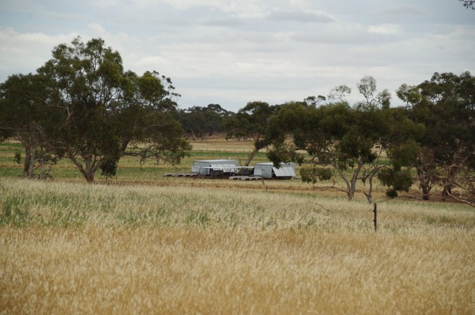 Earth Eggs - What they go through