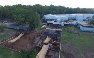Aerial view of horses in holding pens at Meramist abattoir, Caboolture - From ABC 7.30 report - Captured at Meramist Abattoir, Caboolture QLD Australia.