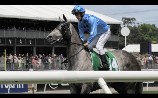 Shrouded in Mist - Captured at Flemington Racecourse, Kensington VIC Australia.