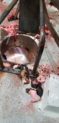 Body parts around waste chute - Captured at Western Sydney Meat Worx (formerly Picton Meatworx), Picton NSW Australia.