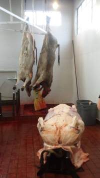 Captured at Crystal Creek Meats, Roseburg OR United States.